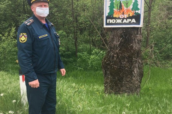 Где взять ссылку на кракен